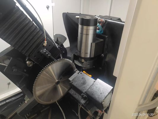 Volledig automatische TORSEL Tct slijpmachine Houtbewerking