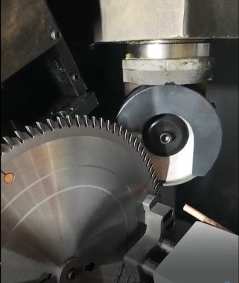 Automatische slijpmachine met hoge nauwkeurigheid TCT Torsel