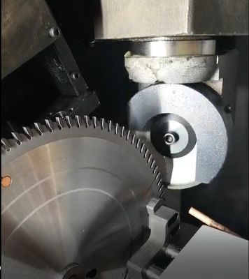Volledig automatische cirkelzaagmes slijpmachine Houtbewerkingsbedrijven