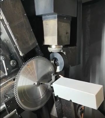 Torsel Full Automatic Circular Saw Blade Sharpening Equipment (Automatisch scherpmaken van een cirkelzaagblad)